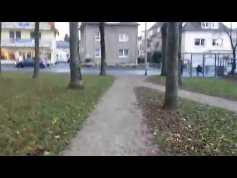Youtube: Mordfall Frauke Liebs - Grünfläche Tageslicht