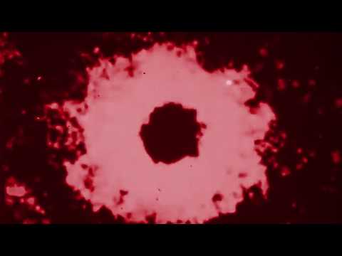 Youtube: Elad Magdasi - Red Skies [FLR4]