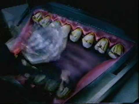 Youtube: Bjork - Army Of Me