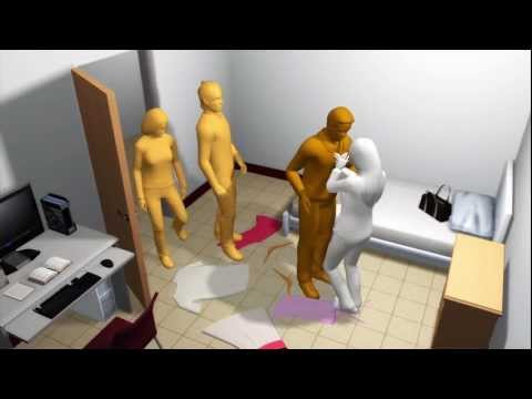 Youtube: 2009 prosecution theory of Meredith Kercher's murder