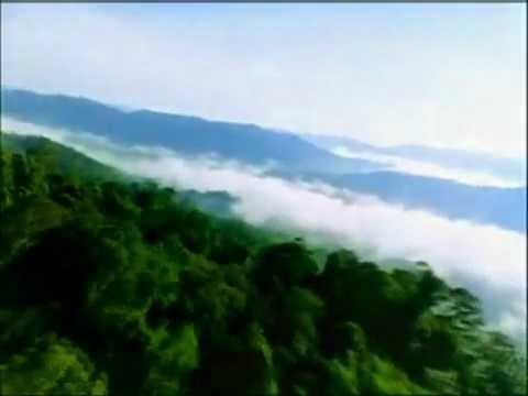 Youtube: Shpongle - a New way to say Hooray