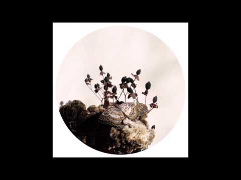 Youtube: Ben Buitendijk - Fallen Leave [OBQ04]