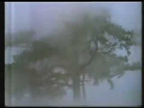 Youtube: Can - Mushroom