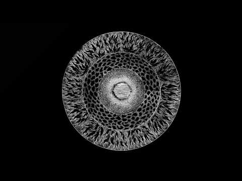 Youtube: Conrad Van Orton - Iteration [ATTIC15]