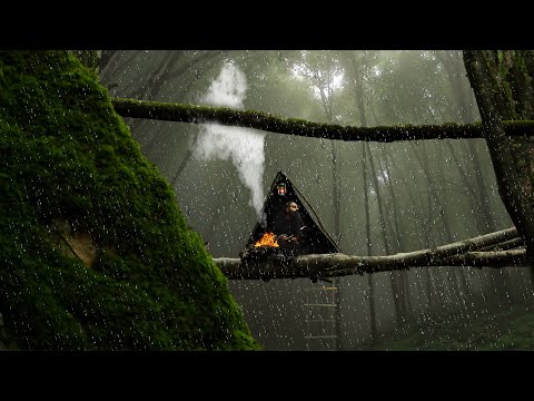 Youtube: 3 Days SOLO in FOGGY VALLEY , rain , survival , and challenges in the wild"