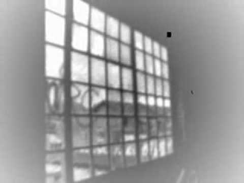 Youtube: XNDL - i saw it on tv