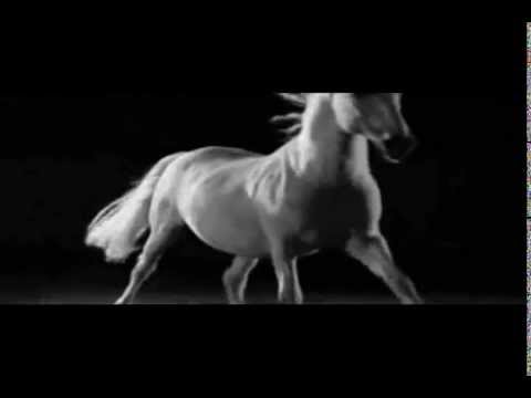 Youtube: Lisa Gerrard - Man On Fire