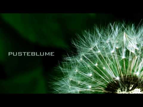 Youtube: Jaques Raupé - Pusteblume (Club Mix)