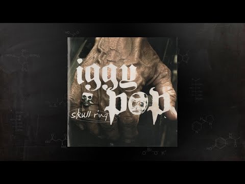 Youtube: Iggy Pop & The Trolls - Here Comes The Summer