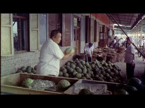 Youtube: Forks Over Knives - Official Trailer