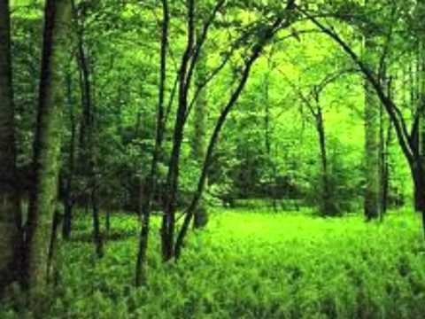 Youtube: MOZART- GREENSLEEVES