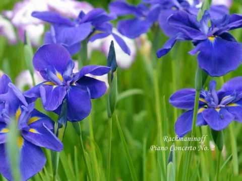 Youtube: Rachmaninoff Piano Concerto No. 2 2nd Movement Part 2