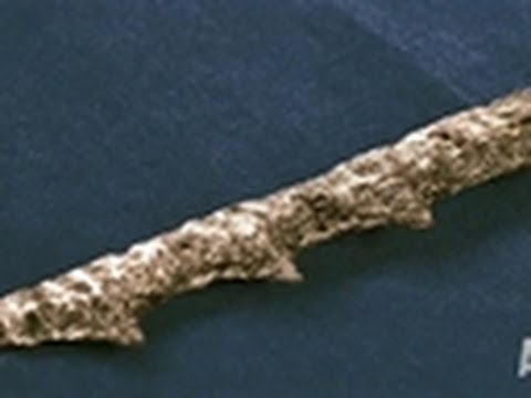 Youtube: Ancient Spears Found in Fish | Mermaids