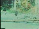Youtube: Patterson Gimlin Film