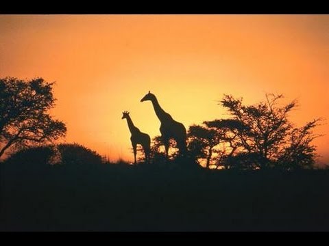 Youtube: South Africa (Johnny Clegg-Great Heart)