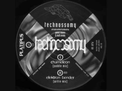 Youtube: Technossomy - Chameleon (Puddle Mix)