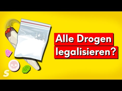 Youtube: Sollten wir alle Drogen legalisieren?