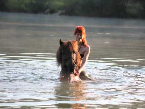 Youtube: schwimmen 2014