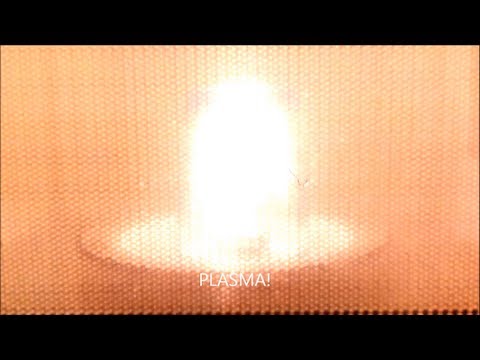 Youtube: Grape in Microwave Plasma!