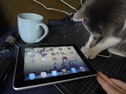 Youtube: iggy investigates an ipad