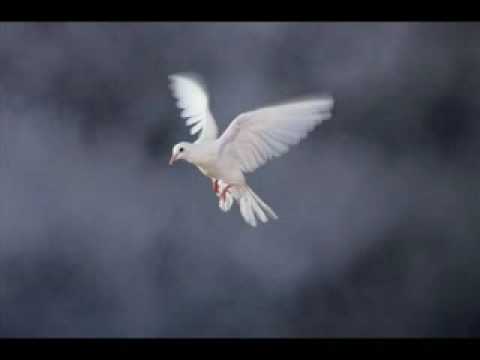 Youtube: You are not alone Mayana x264