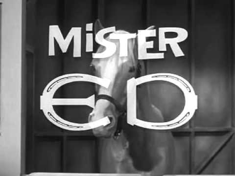 Youtube: Mr.Ed - intro