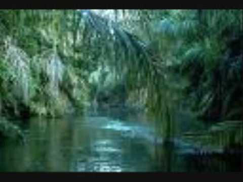 Youtube: DJ Business - Reggae Lick