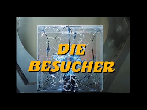 Youtube: Die Besucher (Sammler-Edition, digital restauriert) - Tschechische Kinderklassiker - Trailer