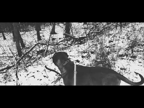 Youtube: Winter in Germany 🇩🇪/Winter in Deutschland