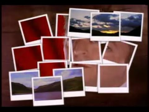 Youtube: Robert Palmer - Mercy Mercy Me/I Want You