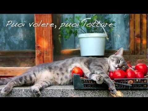 Youtube: Si può fare - Angelo Branduardi | Testo / Lyrics