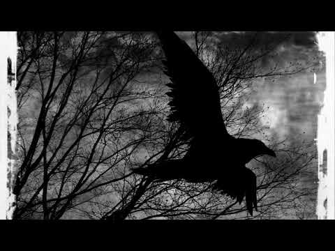 Youtube: Makornik - Caw Caw