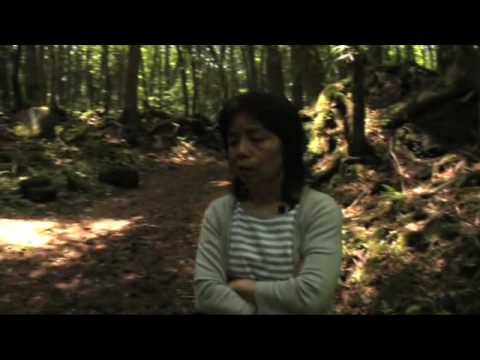 Youtube: The Perfect Place (Research Film) Part 1 of 2