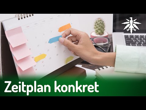 Youtube: Zeitplan konkret | DHV-News # 396