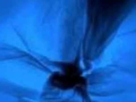 Youtube: transformers smoov am beat