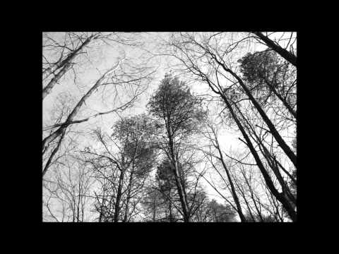 Youtube: Forseti Windzeit