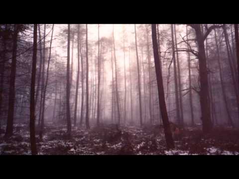 Youtube: Austra - Lose It