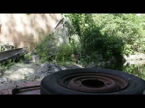 Youtube: Bootstour Erlebnis Zoo Hannover
