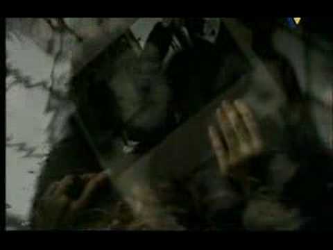 Youtube: Wonderwall - Silent Tears