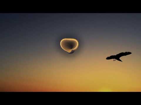 Youtube: REAL GEIZT - die schwärze des lochs