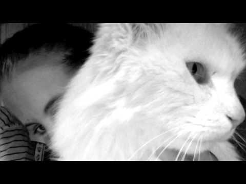 Youtube: Chad Valley - Shell Suite (Cashmere Cat Remix)