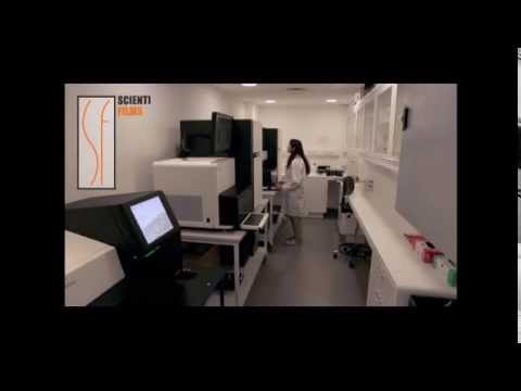 Youtube: Support of Sasquatch Genome Project Results by another Scientist