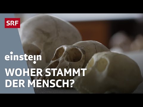 Youtube: Die Wiege der Menschheit – Stammt der Mensch aus Afrika oder aus Europa? | Einstein | SRF