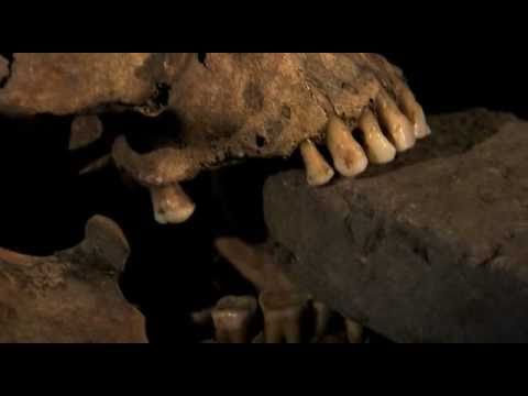 Youtube: Vampire in Venedig [Doku] [Part]
