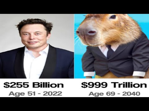 Youtube: CAPYBARA MEMES