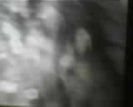 Youtube: Discotraxx Ladytron
