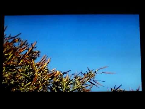 Youtube: orbs among us/erik jimenez/heaven/2-24-2011