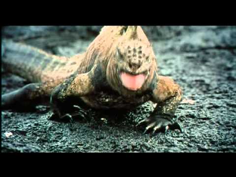 Youtube: Trailer -- Genesis der Film (deutsch, german)