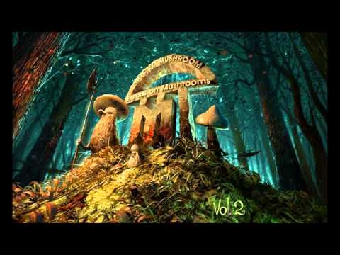 Youtube: Infected Mushroom - Trance Party [HD]