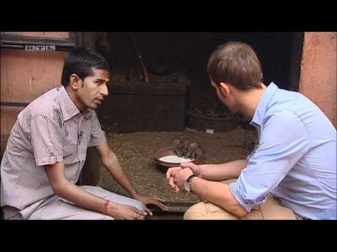 Youtube: 2011 05 23 Der Rattentempel